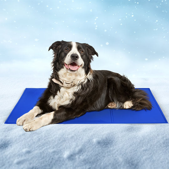 Self-Cooling Gel Pet Mat for Dogs and Cats in Four Sizes | No-Power Cooling Mat for Pets | Pet Cooling Mats