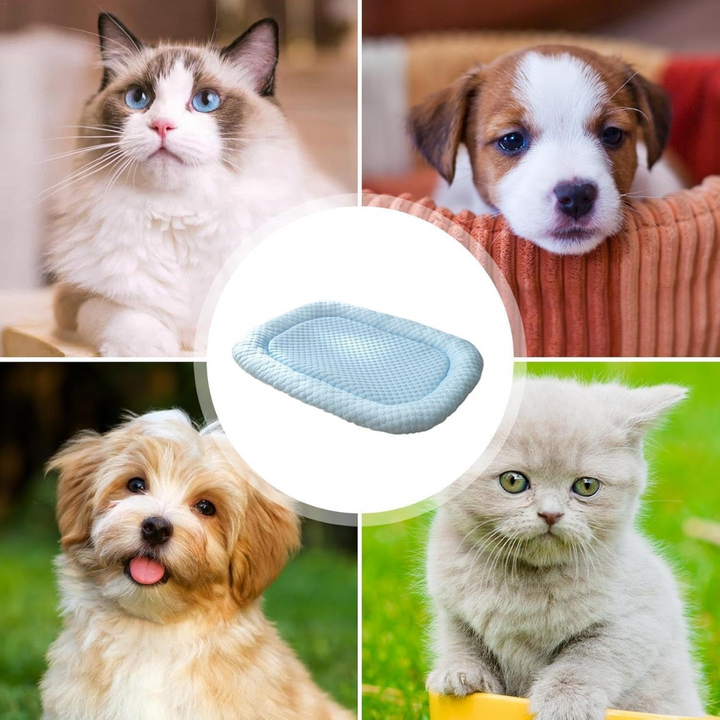 Ice-Silk Cooling Mat Pet Bed for Dogs and Cats in Four Sizes | Cool Spot for Summer Pets | Pet Beds