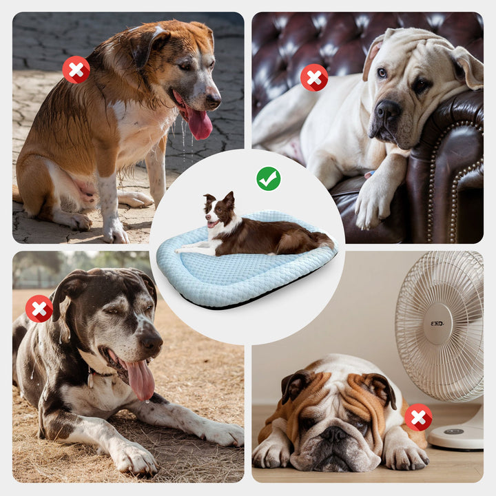 Ice-Silk Cooling Mat Pet Bed for Dogs and Cats in Four Sizes | Cool Spot for Summer Pets | Pet Beds