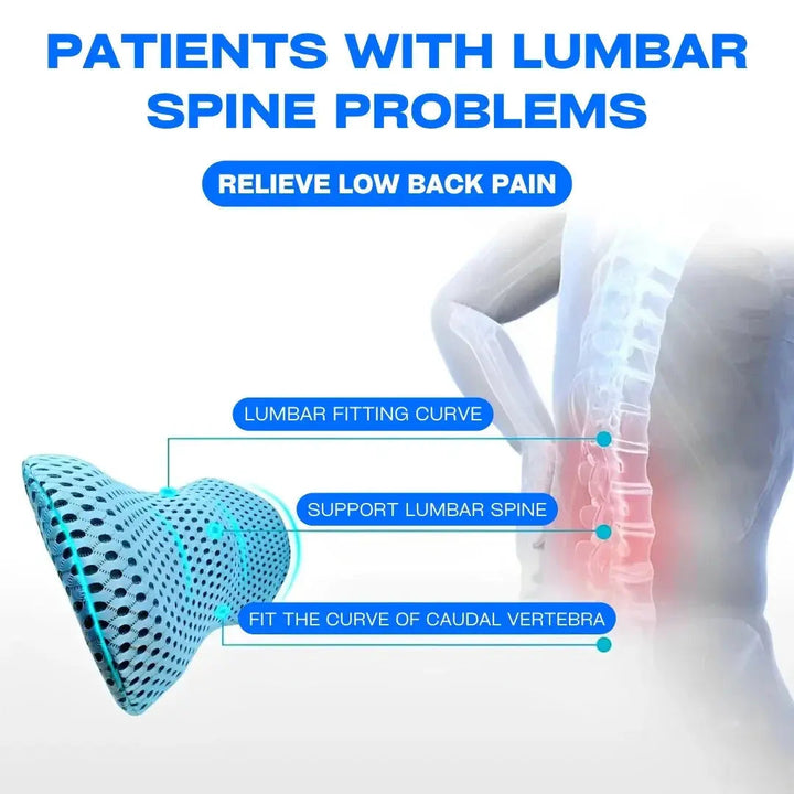 Lumbar Support Pillow for Long Hours at Work and Driving | Seated Back Comfort | Lumbar Pillows