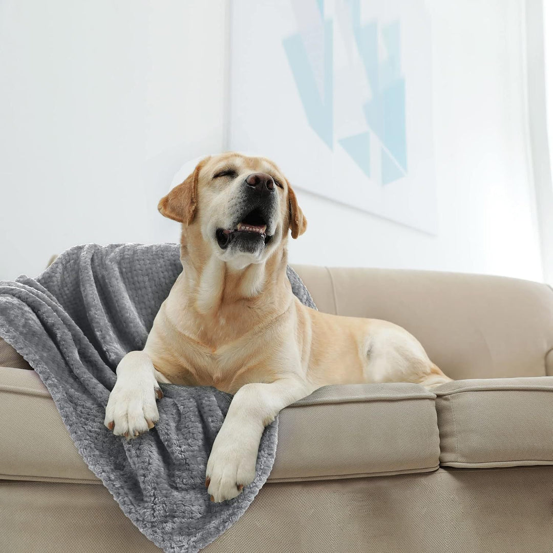 Ultra Soft Plush Throw Blanket in Grey and Blue for Movie Nights | Plush Softness for Movie Nights | Throw Blankets