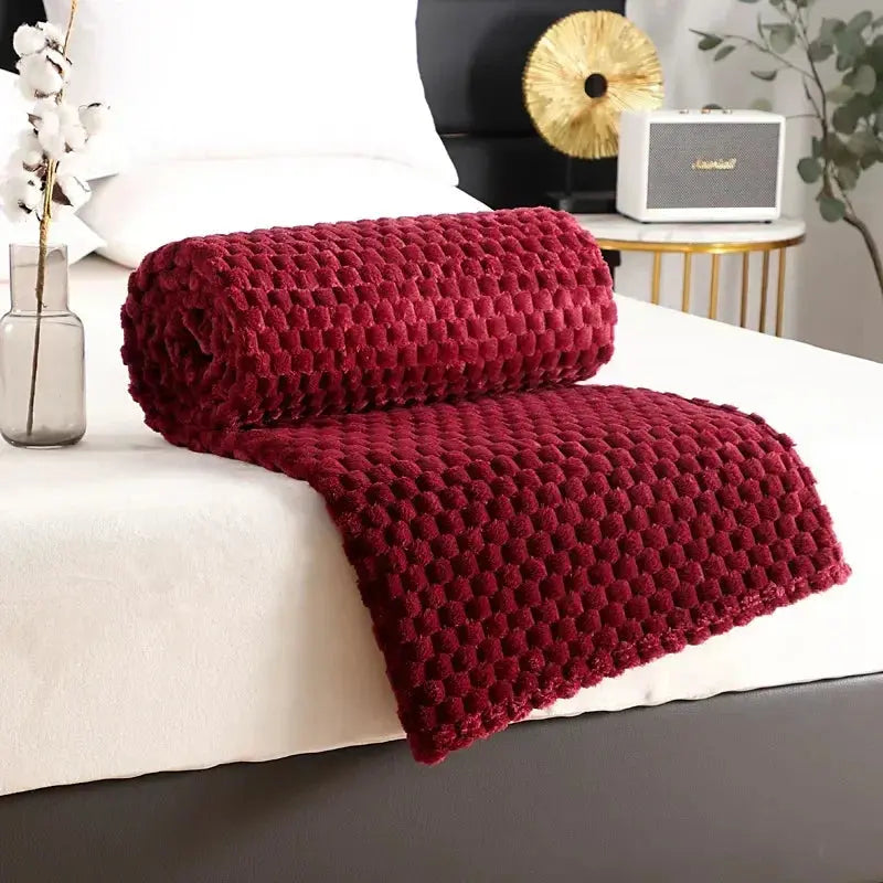 3D Cloud Jacquard Fleece Blanket in Silky Flannel | Soft Raised-Texture Warmth | Throw Blankets