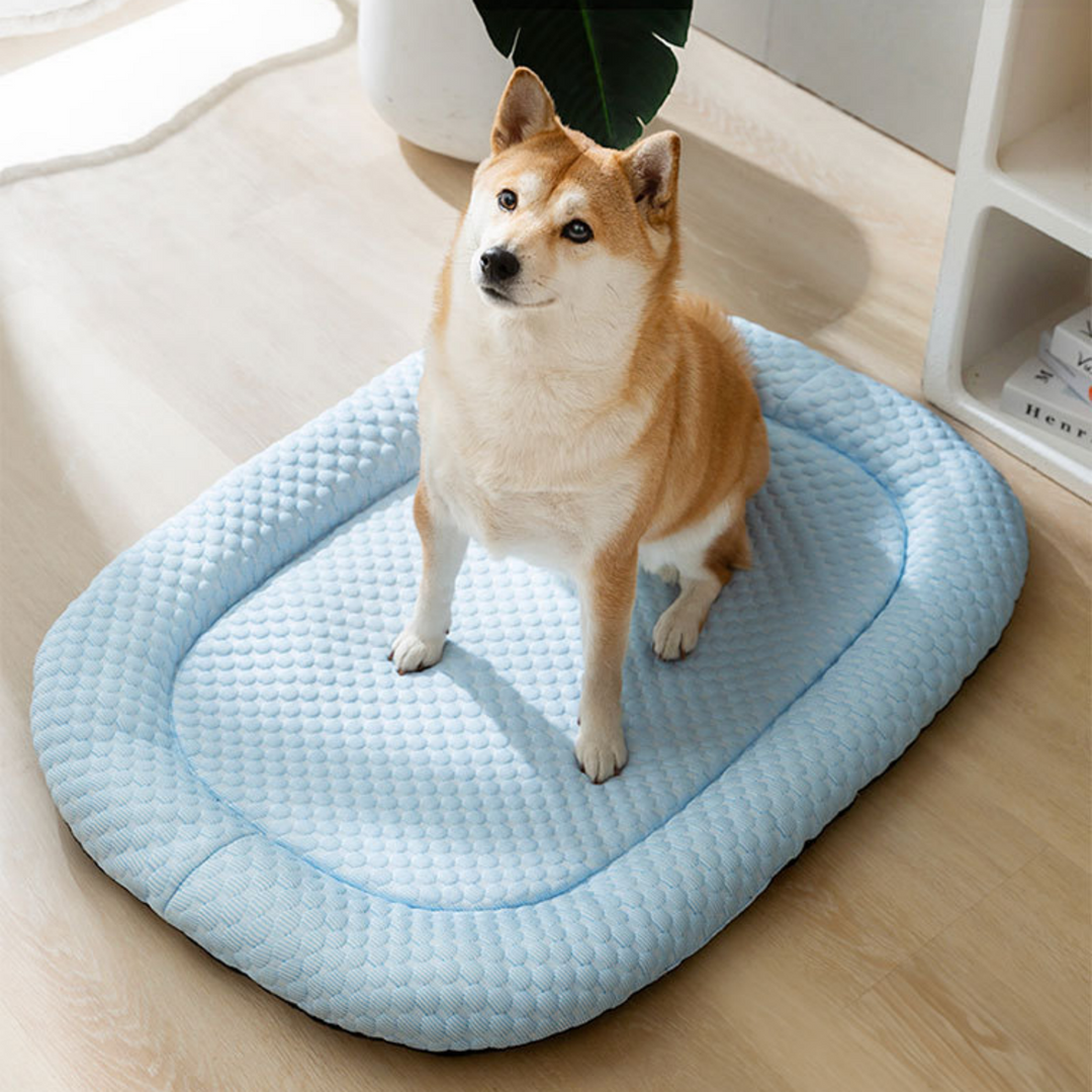 Ice-Silk Cooling Mat Pet Bed for Dogs and Cats in Four Sizes | Cool Spot for Summer Pets | Pet Beds