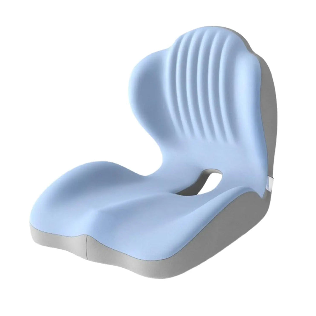 Ergonomic Memory Foam Seat Cushion with Lumbar Support | Seat and Back Support Together | Seat Cushions