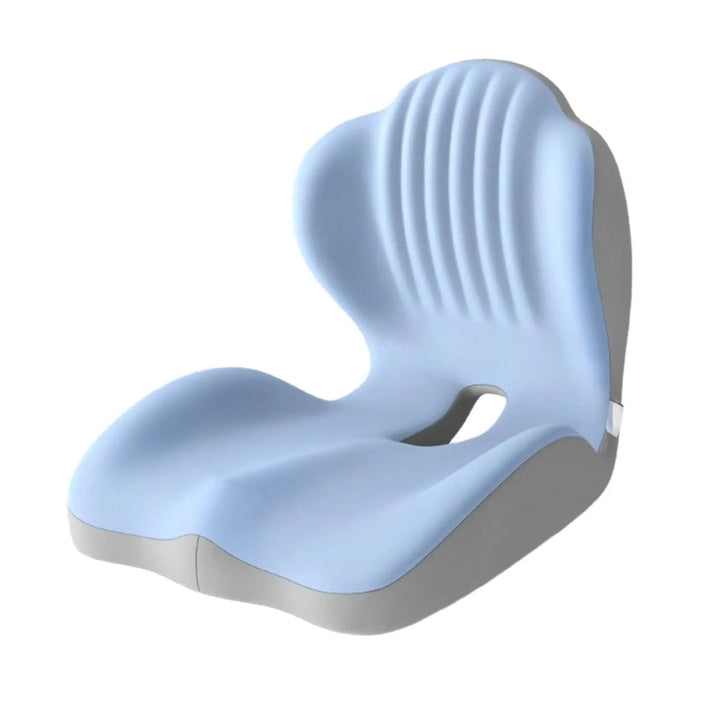 Ergonomic Memory Foam Seat Cushion with Lumbar Support | Seat and Back Support Together | Seat Cushions