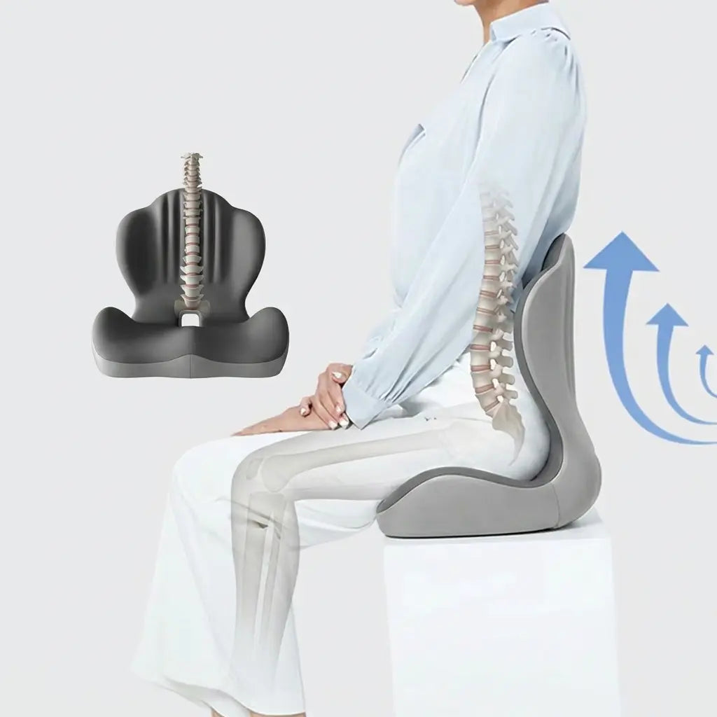 Ergonomic Memory Foam Seat Cushion with Lumbar Support | Seat and Back Support Together | Seat Cushions