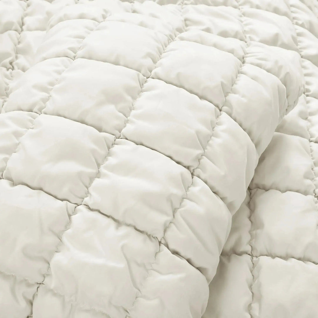 Plush Fluffy Microfiber Comforter Set with Pillowcases, All Season | Soft Warmth for Every Season | Bedding Sets
