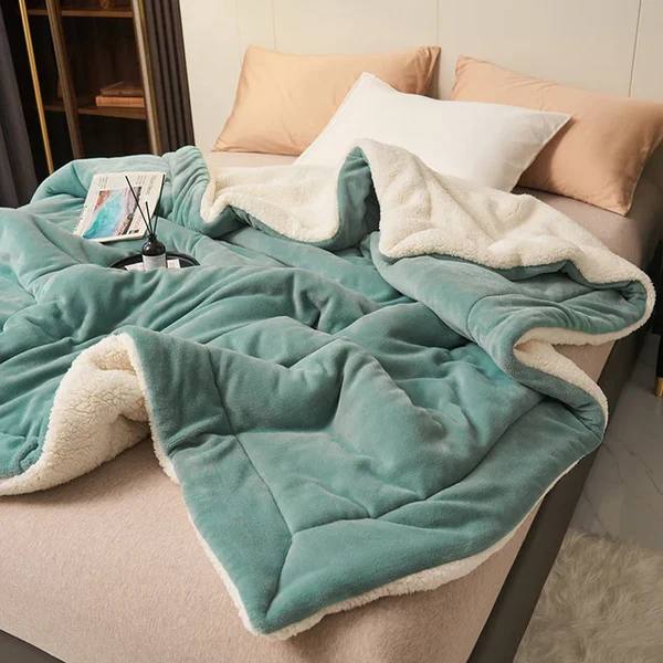 Soft Plush Fleece Throw Blanket for Couch, Bed and Travel | Plush Fleece for Cold Evenings | Throw Blankets